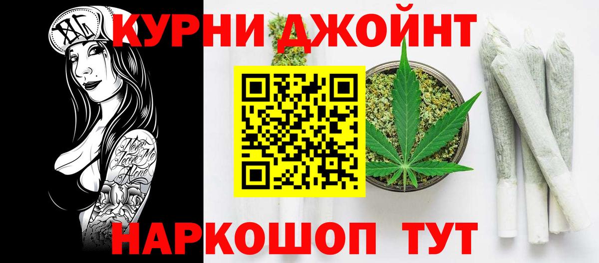 Конопля планчик Коммунар